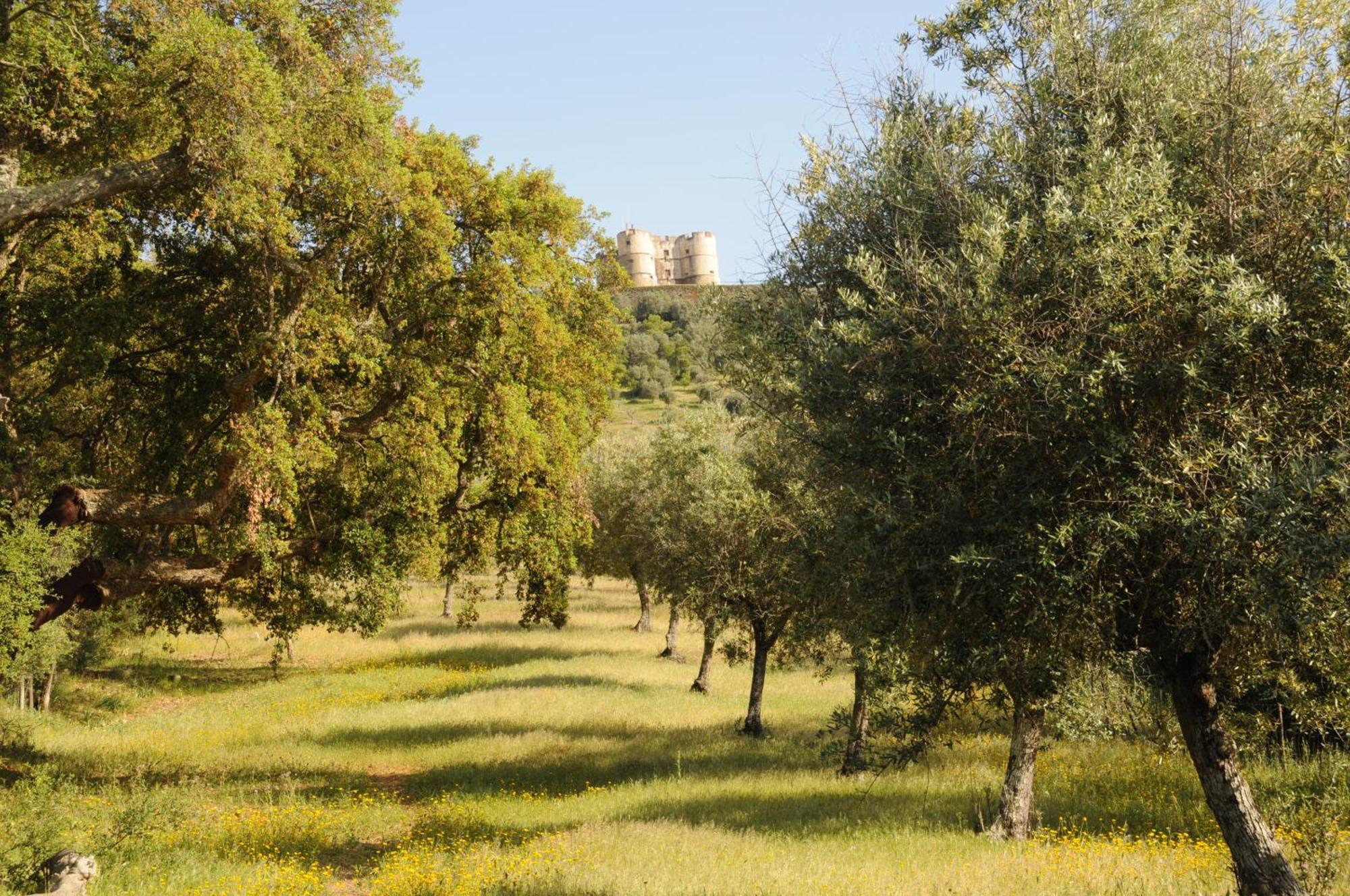 Quinta De Evoramonte Villa Estremoz Ngoại thất bức ảnh